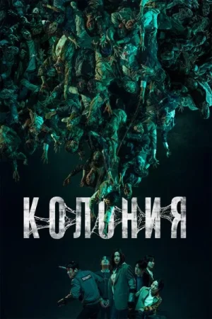 Колония
